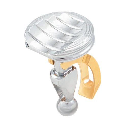 EVOLUTION 2024 Trigger