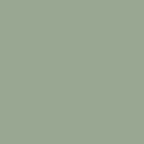 IJA Light Grey Green