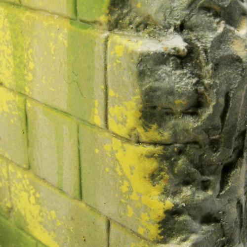 Moss and Lichen Effect