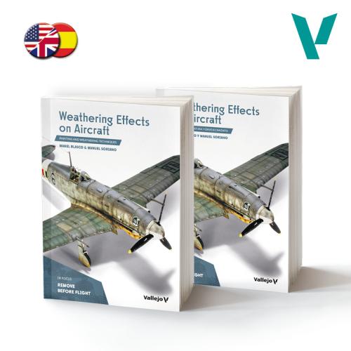 Weathering Effects on Aircraft