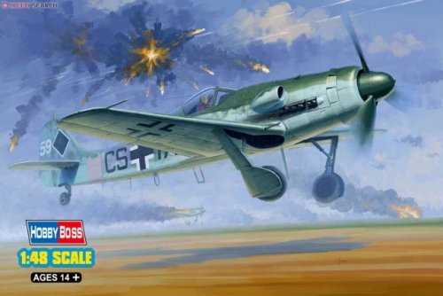 Focke-Wulf FW 190D-12 1/48