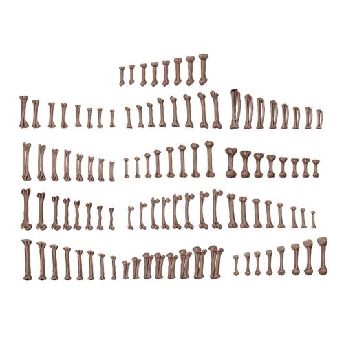 AK Basing Bits: Human Bones (resin) (104)