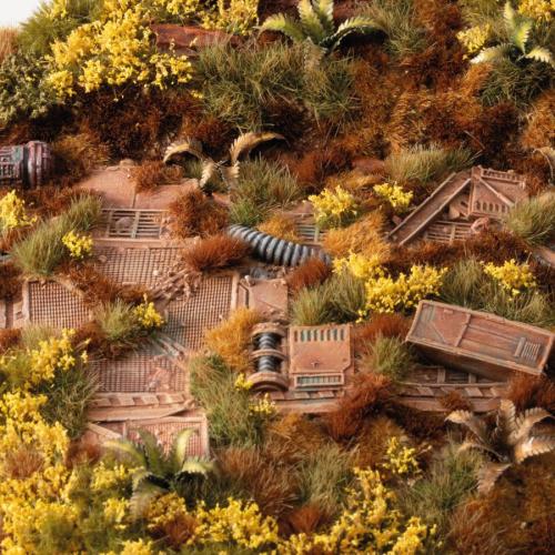 Gamer's Grass: Broom Flowers