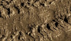 Brown Earth 200ml