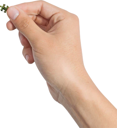 World's Smallest Machu Picchu 1000 bitar