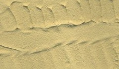 Desert Sand 200ml