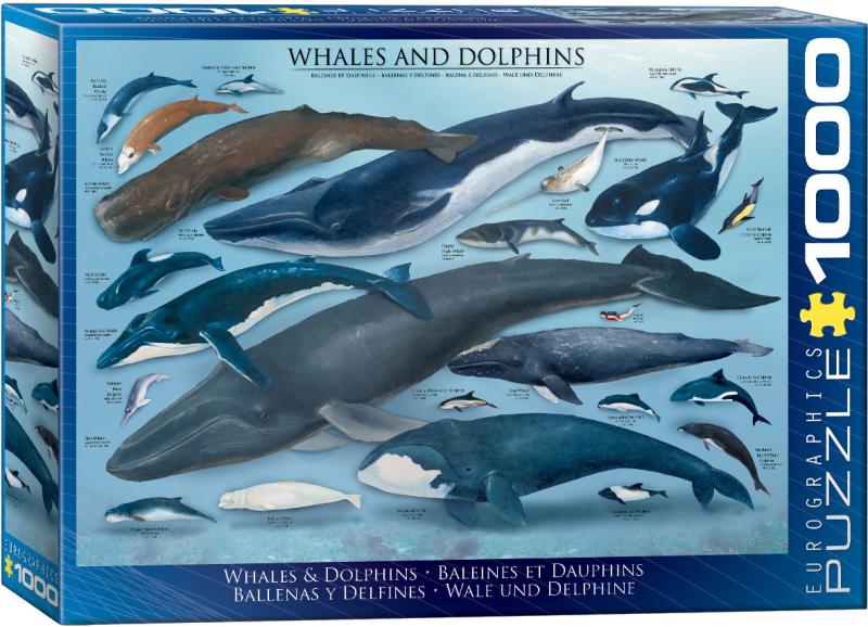 Whales & Dolphins 1000 bitar