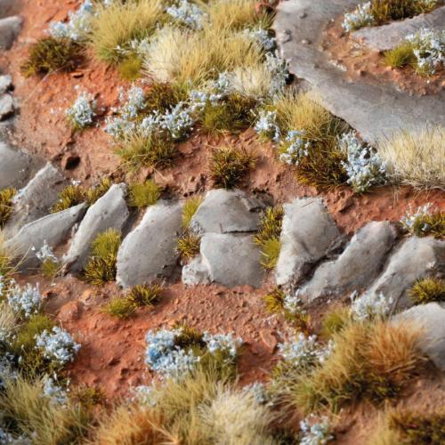 Gamer's Grass: Forget-Me-Not Tiny Flowers