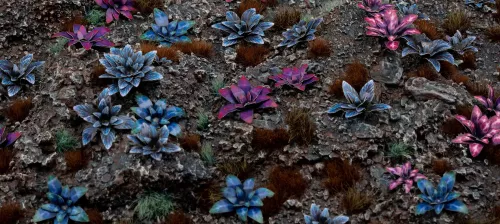 Gamer's Grass: Laser Plants - Alien Rosette