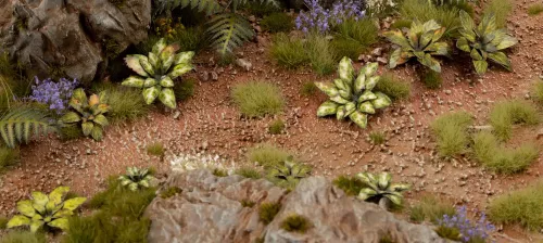 Gamer's Grass: Laser Plants - Dumb Cane