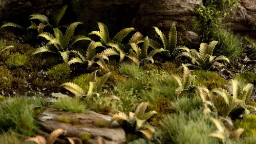 Gamer's Grass: Laser Plants - Deer Fern