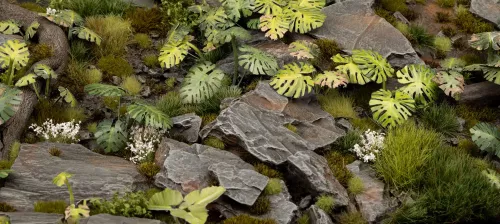 Gamer's Grass: Laser Plants - Monstera