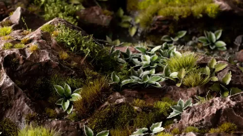 Gamer's Grass: Laser Plants - Plantain Lily