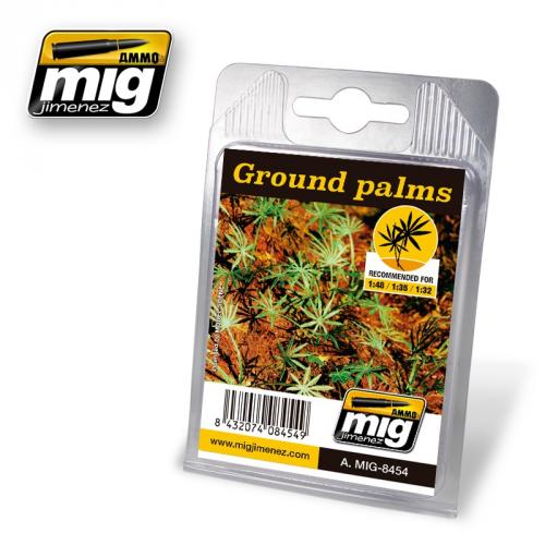 GROUND PALMS
