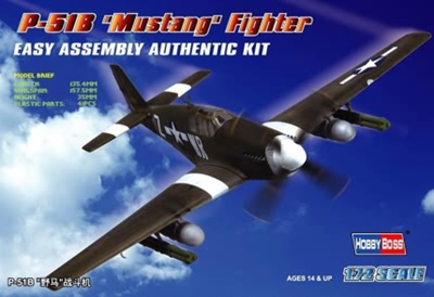 P-51B Mustang Fighter 1/72