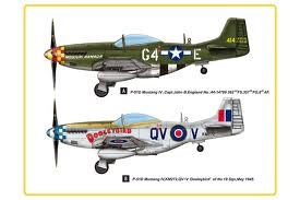 P-51D Mustang IV 1/48