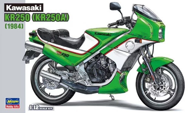 Kawasaki KR250A 1/12