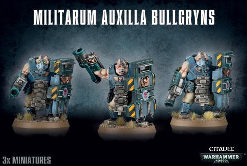 Auxilla Bullgryns