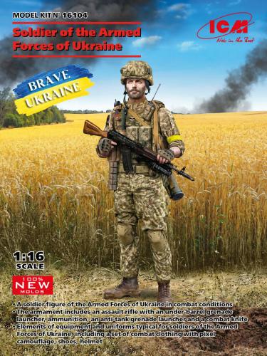 Soldier of the Armed Forces of Ukraine 1/16