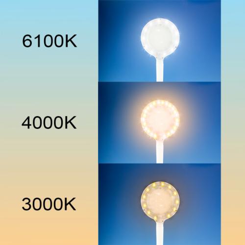 Lightcraft LED Flexible USB Magnifier Lamp