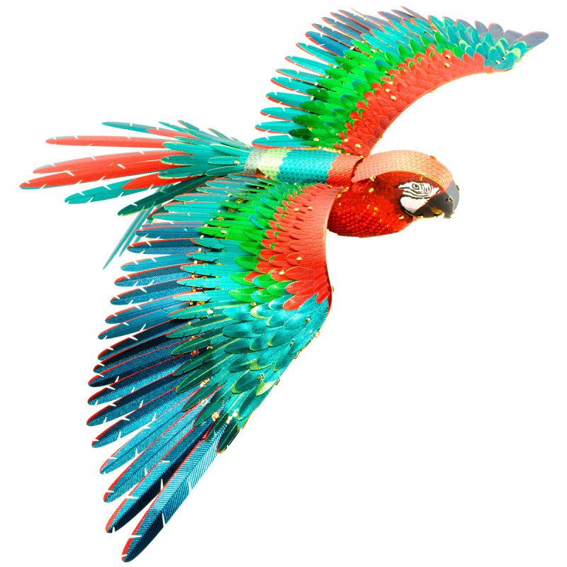 Premium Parrot