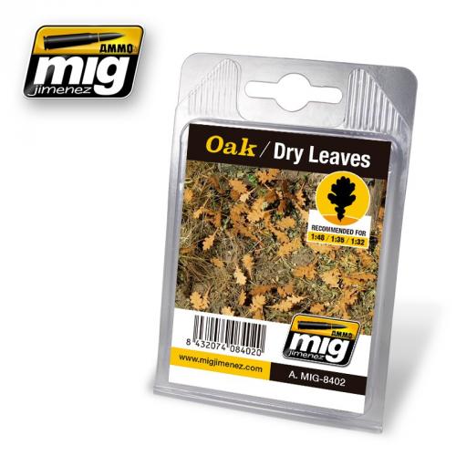 OAK / DRY LEAVES