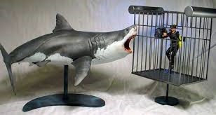 Great White Shark & Dive 1/18