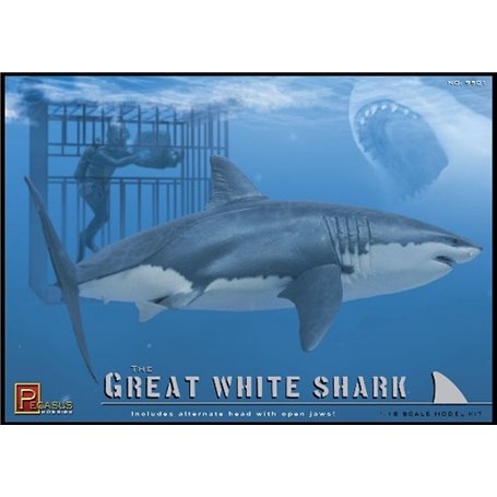 Great White Shark & Dive 1/18