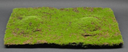 Wild Grass & Hills Type 1