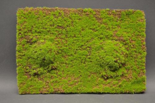 Wild Grass & Hills Type 1