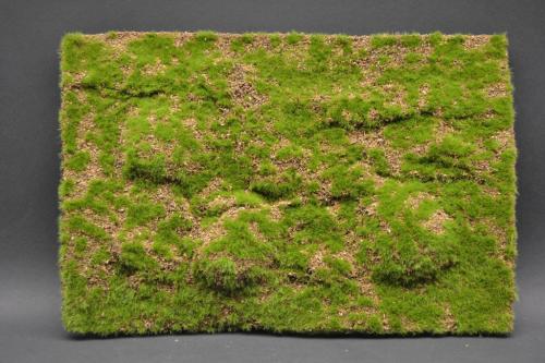 Wild Grass & Hills Type 2