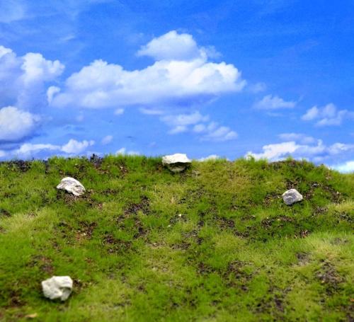 Dry Rocky Meadow & Hills