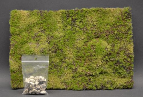 Dry Rocky Meadow & Hills