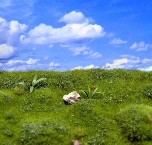 Wild Meadow & Hills Summer