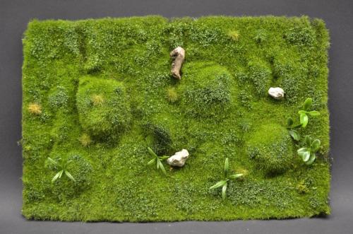 Wild Meadow & Hills Summer