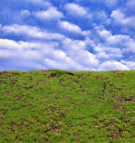 Wild Grass Typ 1 XXL