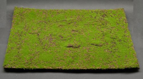 Wild Grass Typ 1 XXL