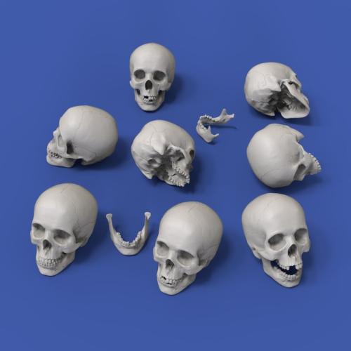 Skulls (8 pcs) 1/35