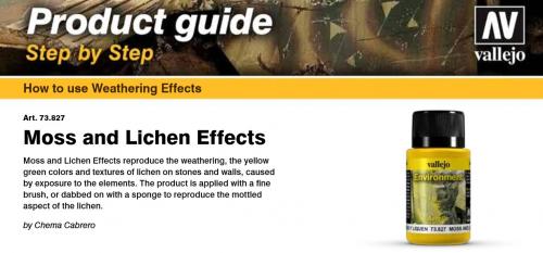 Moss and Lichen Effect