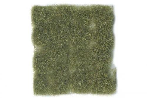 WILD TUFT - DRY GREEN 12 MM