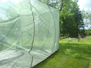 Myggnätstält 6x3m grågrönt