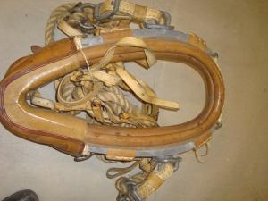 Kraftiga dragok för häst