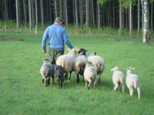 Sweatshirt Loap Blå Storlek: XL