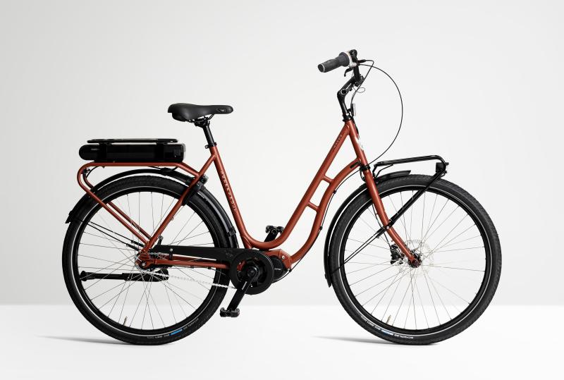 Skeppshult Elcykel Natur Land EL Dam Bär Matt