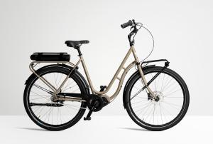 Skeppshult Elcykel Natur Land EL Dam Lera