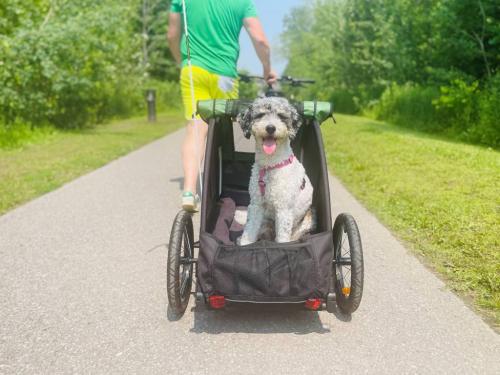 Burley Tail Wagon Hundvagn – Grön/Svart