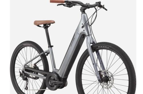 Cannondale Adventure Neo 4 Grå