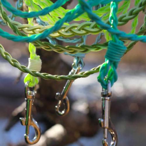 Flyvines Dog Leash 6ft 1/2"