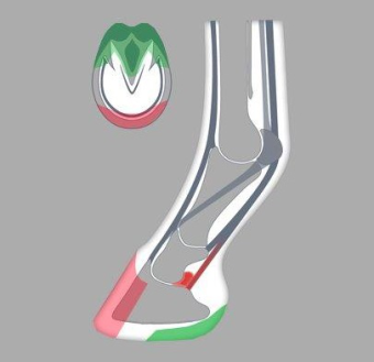ACR 880 Open Heart Bar Shoe, Parpris