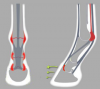 ACR 350 Asymmetric Shoe, Parpris